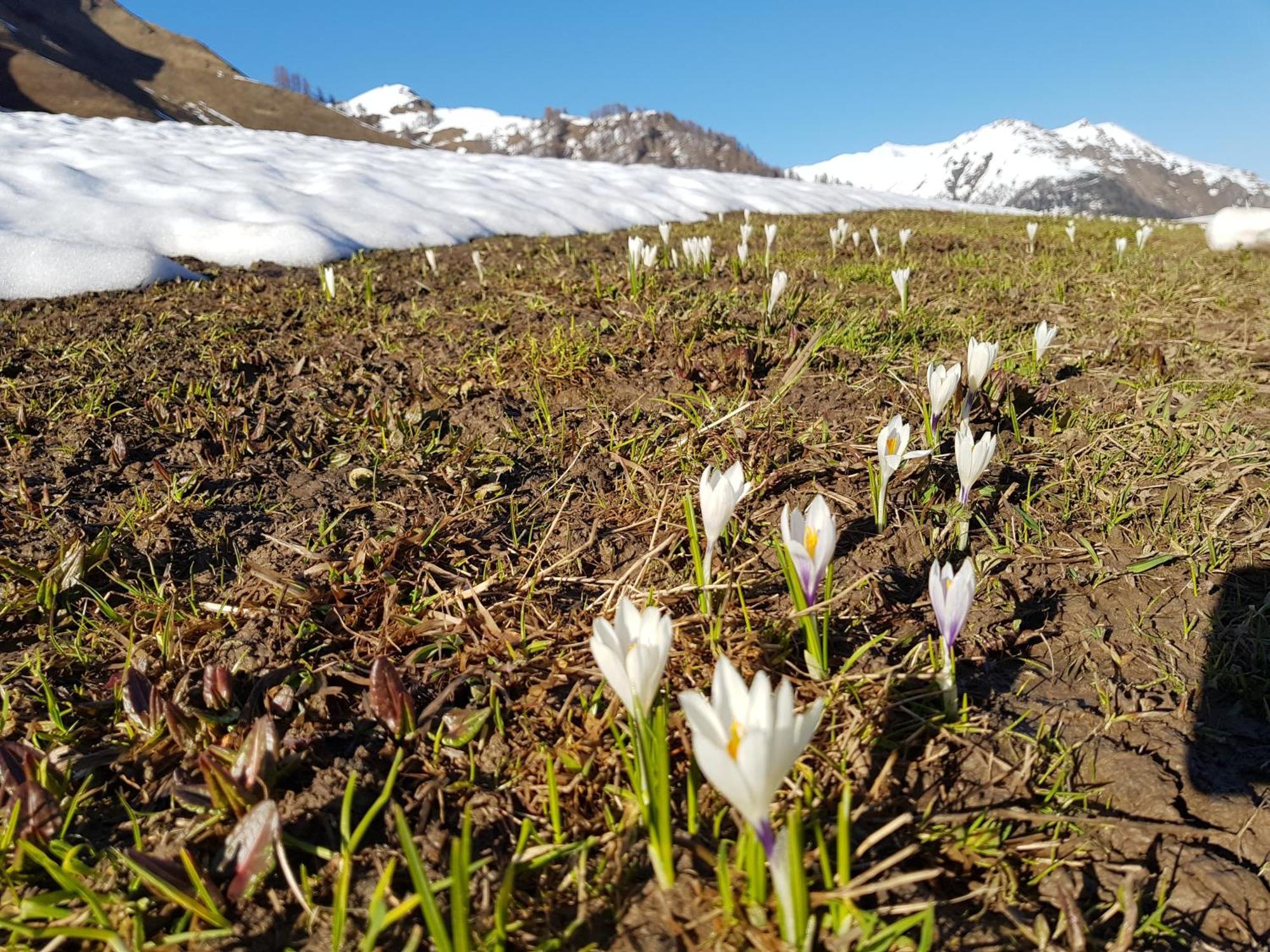 Apart Foresta Samnaun Kültér fotó